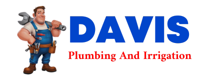 Trusted plumber in SULPHUR BLUFF